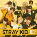 Stray Kids Live Wallpaper
