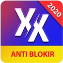 X Browser Mini Pro APK