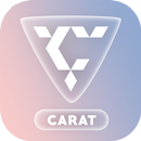 Carat: Seventeen games APK