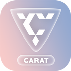 Carat: Seventeen games icône