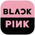 Black Pink Lyrics