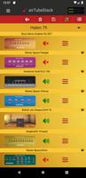 Guitar Amps  Cabinets  Effects plakat