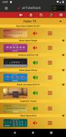 Guitar Amps  Cabinets  Effects Poster