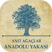 Anıt Ağaçlar - Anadolu