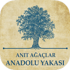Anıt Ağaçlar - Anadolu icône