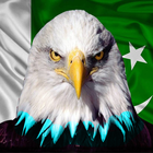 Sargodha Shaheen biểu tượng