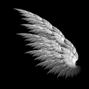 handy hintergrundbild APK
