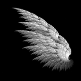 mobile phone wallpaper icon