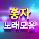 홍자 노래모음-7080 트로트 메들리 노래듣기 APK