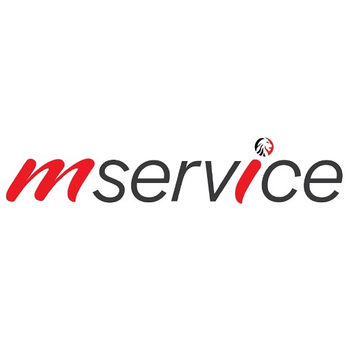 KRA M-Service