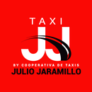 Conductor Taxi JJ-APK