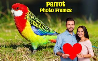 Parrot Photo Frames ảnh chụp màn hình 3