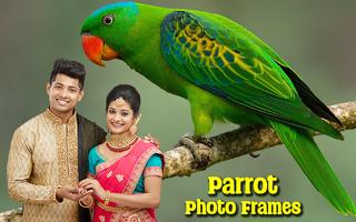 Parrot Photo Frames ảnh chụp màn hình 1