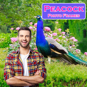 Peacock Photo Frames icon