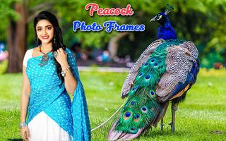 Peacock Photo Frames Affiche