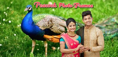 Peacock Photo Frames screenshot 1