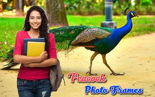 Peacock Photo Frames स्क्रीनशॉट 3