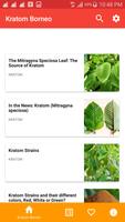 Kratom Borneo 포스터