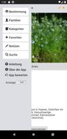 Krautfinder - Pflanzenbestimmu screenshot 3