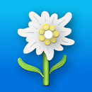 Krautfinder Alpen - schnelle Pflanzenbestimmung APK