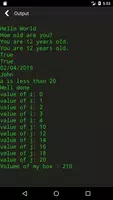 VB.NET Programming Compiler Screenshot 1