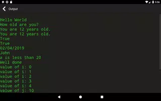 VB.NET Programming Compiler Screenshot 5