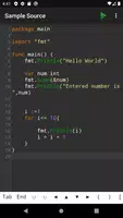 Go Programming Compiler poster