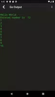 Go Programming Compiler screenshot 1