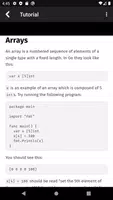 Go Programming Compiler screenshot 2