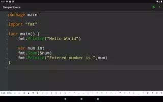 Go Programming Compiler screenshot 4