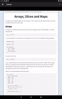 Go Programming Compiler screenshot 7