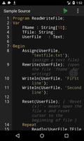 Pascal Programming Compiler Affiche