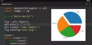 Python Programming Interpreter