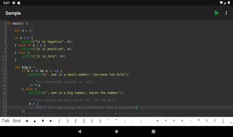 Rust Programming Compiler تصوير الشاشة 5
