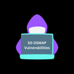 50 OSWAP Vulnerabilities أيقونة