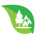 Krinkle Wild Fire