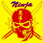 Ninja 2 icône