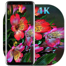 Beautifull Flowers Wallpapers Colorful New-APK