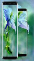 Beautifull Flowers Wallpapers Colorful New capture d'écran 3