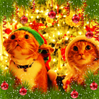 Christmas cards & wallpapers ไอคอน