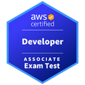 AWS Developer Associate Pro