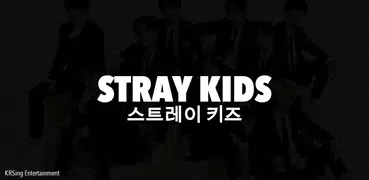 Stray Kids Offline - KPop