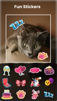 Text on photos - Text photos 截图 2