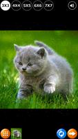 Rompecabezas: gatitos lindos captura de pantalla 2