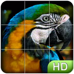 Tile Puzzle: Birds XAPK download