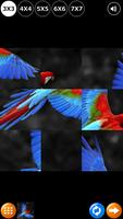Tile Puzzle: Oiseaux capture d'écran 1
