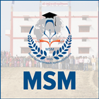 MSM icône