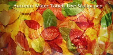 Autumn Water Ripple Live Wallpaper