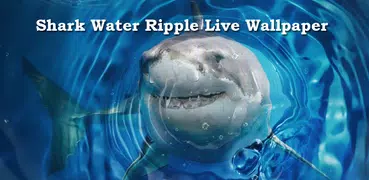 Shark Water Ripple Live Wallpaper