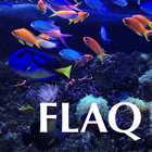 Florida Aquarium Guide আইকন